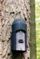 Preview: Schwegler Fledermaushöhle 1FD